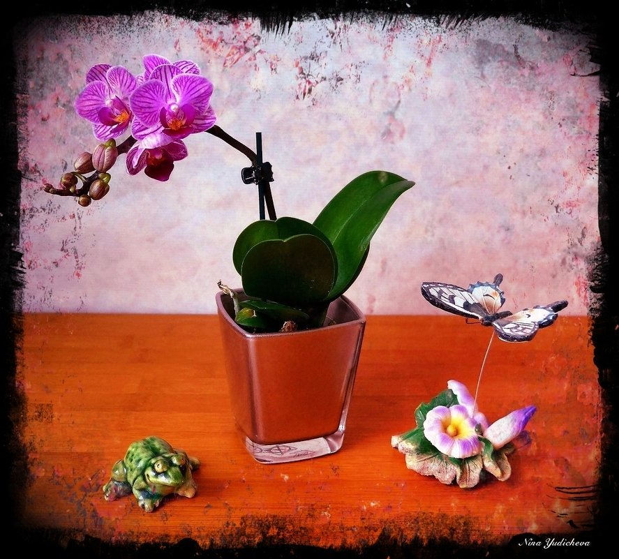 Орхидея, бабочка и лягушка - Nina Yudicheva