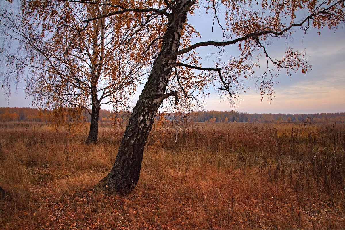 Осенний вечер - Константин 