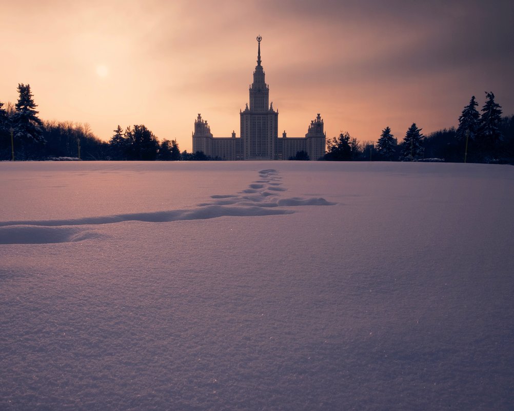 мгу - Владимир Гулевич