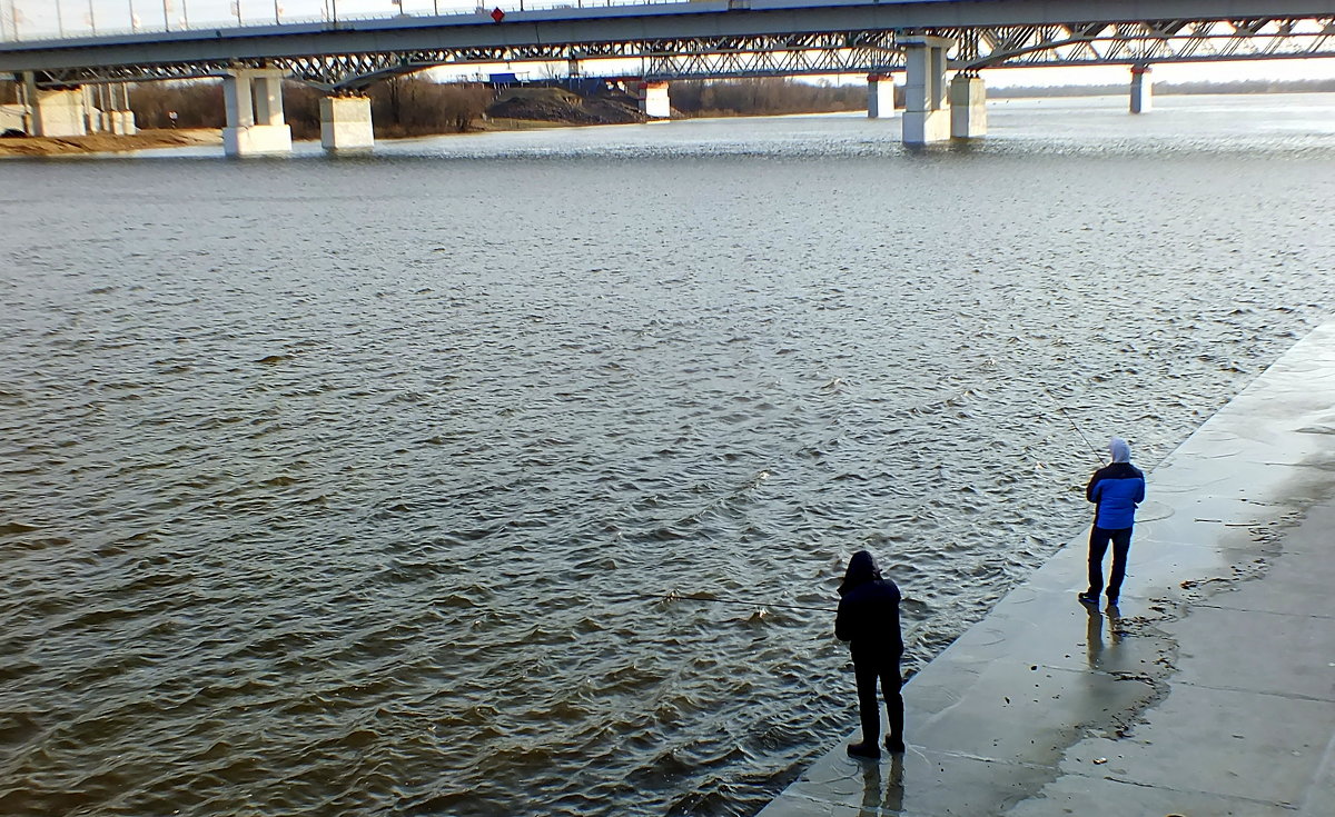 в холодной мартовской воде - Александр Прокудин