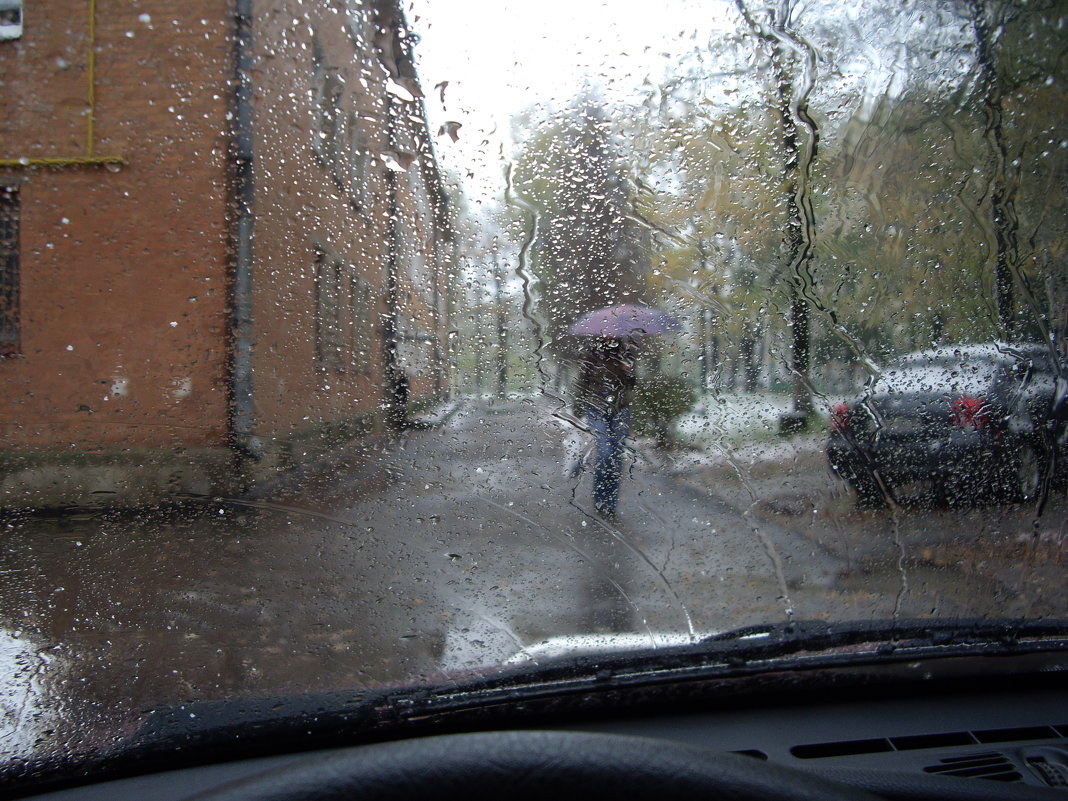 Дождь - Виктор Голышев