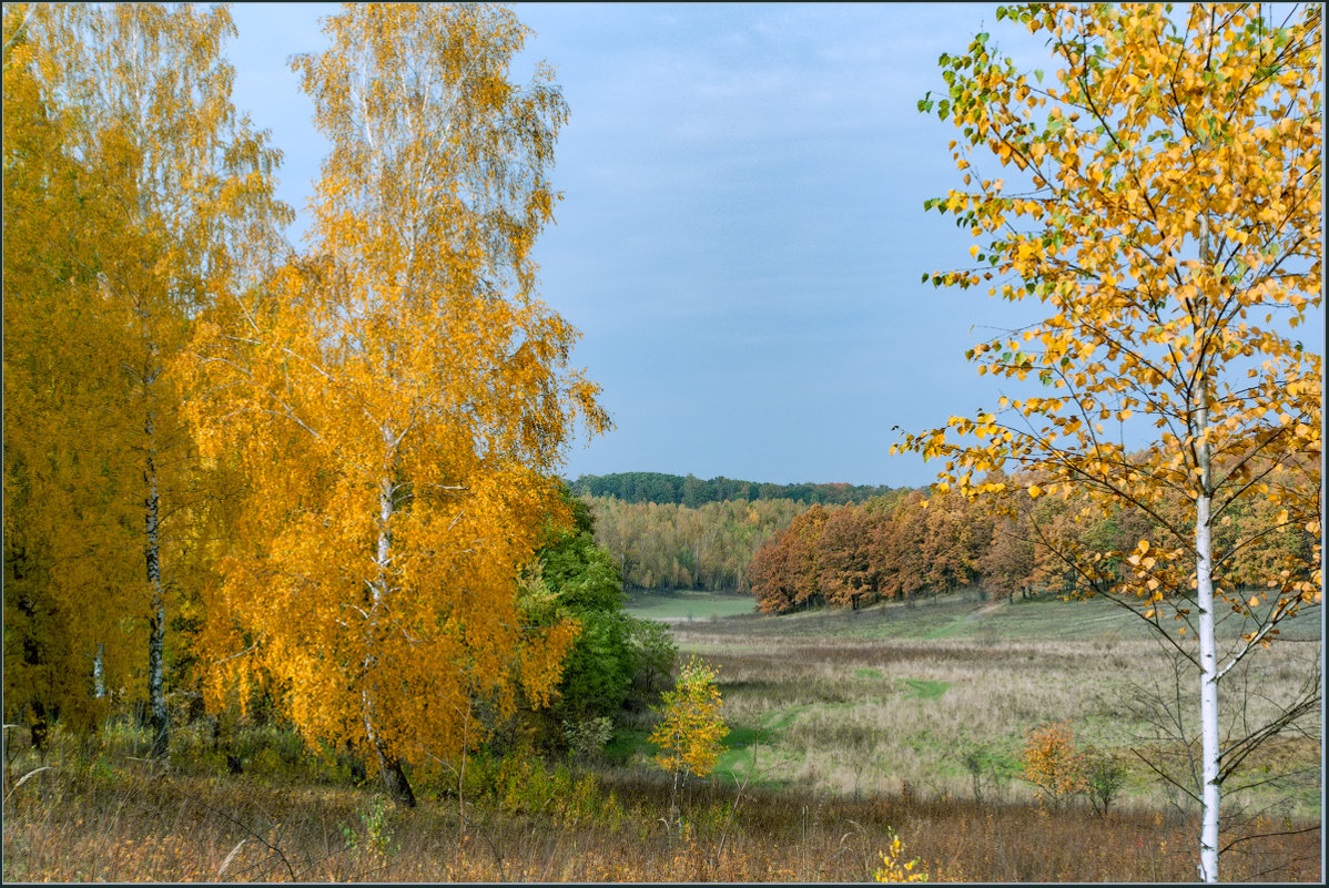 *** - Александр Лихачёв