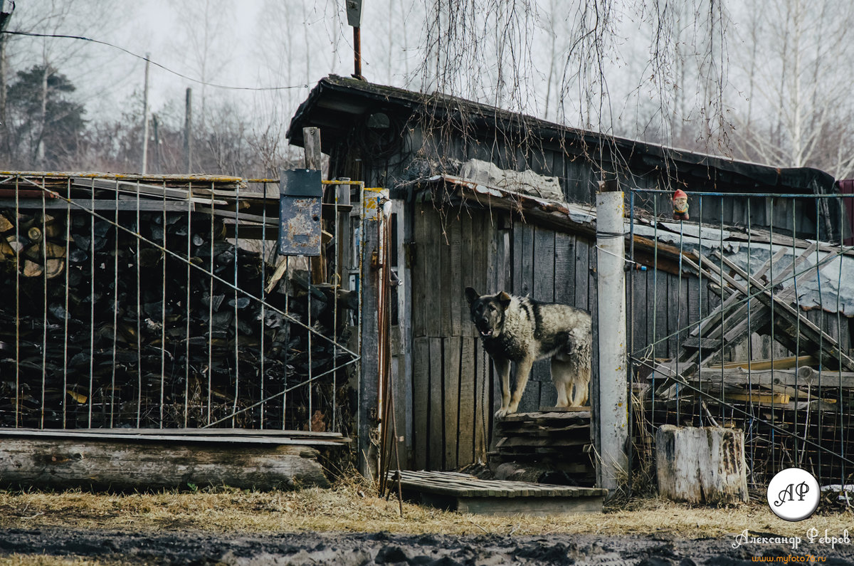 Однажды в деревне - Александр Ребров