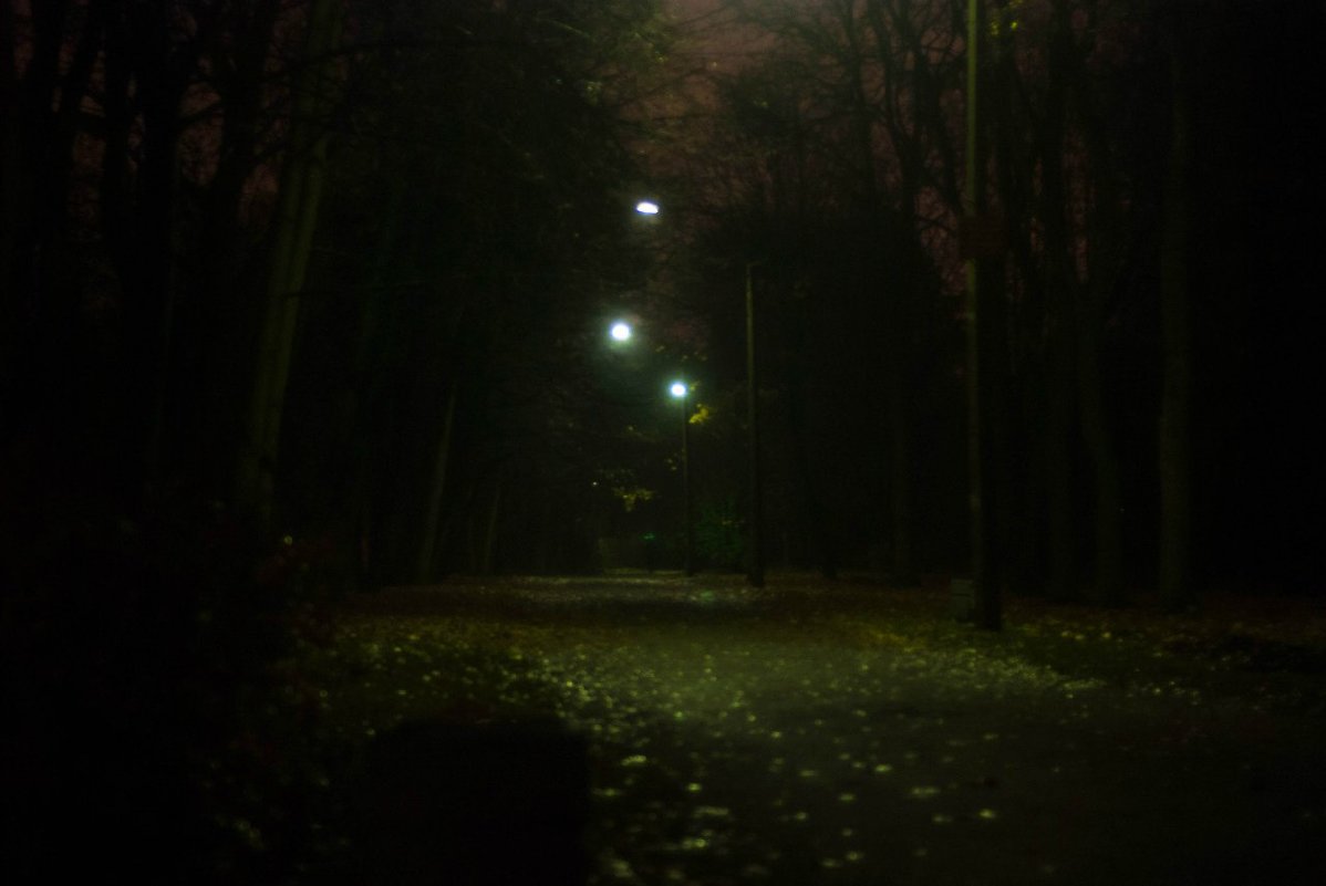 прогулка по ночному осеннему парку - Владислав Попов