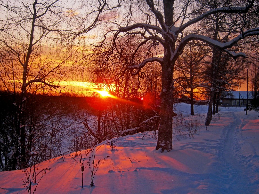 Восход зимой - Наталья Зимирева