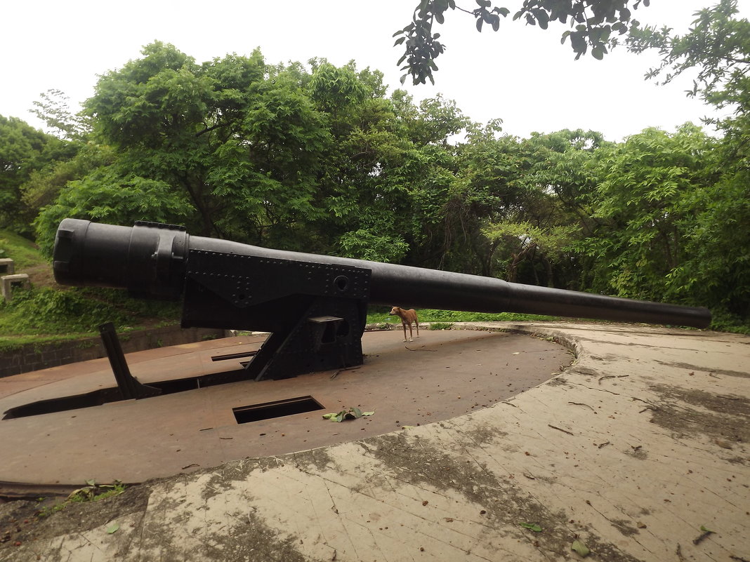 Пушки острова Элефант - maikl falkon 
