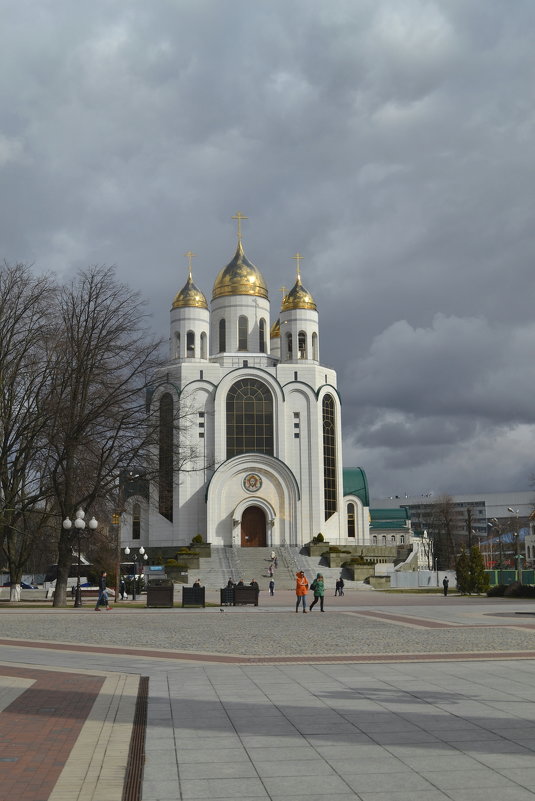 ** - Валентина Дмитровская