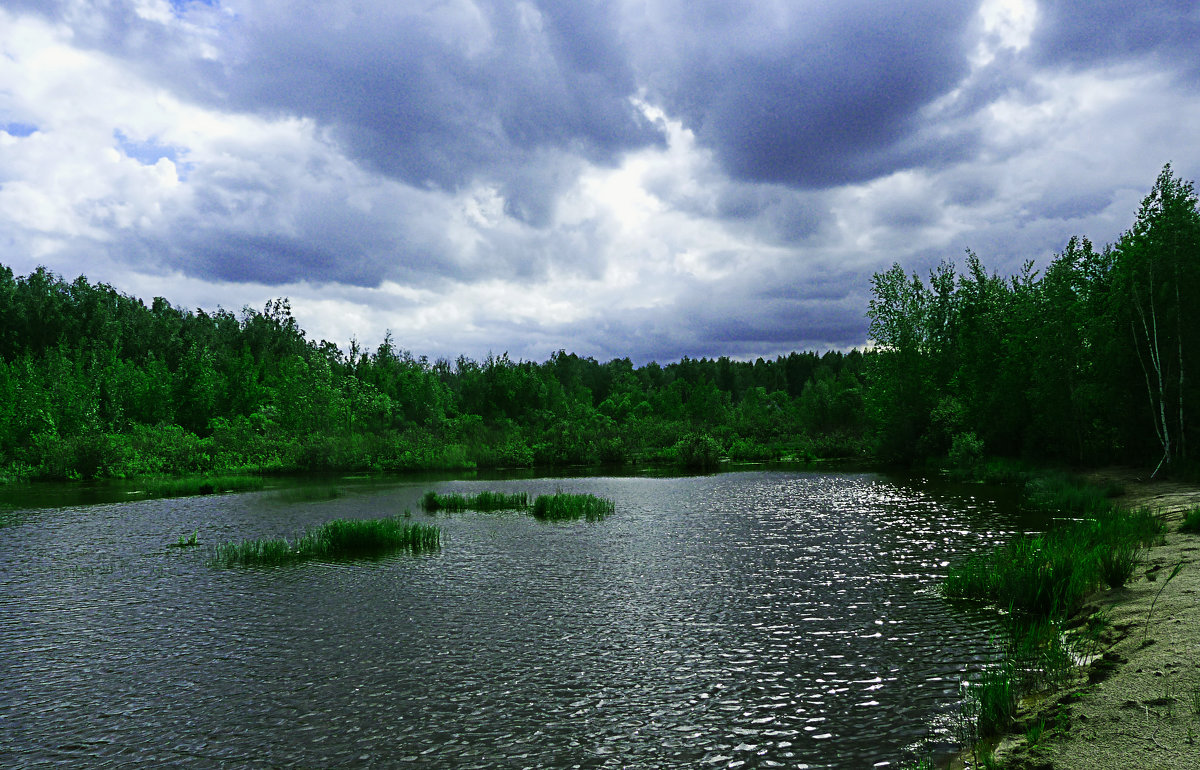 ..... - александр дмитриев 