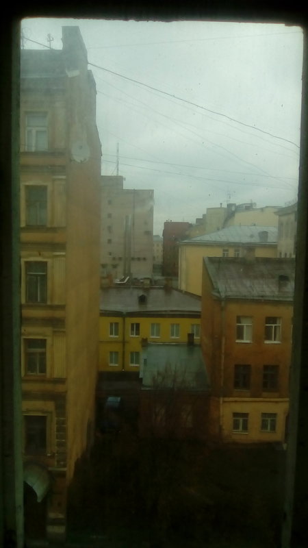 Вид из окна на питерские крыши. - Светлана Калмыкова
