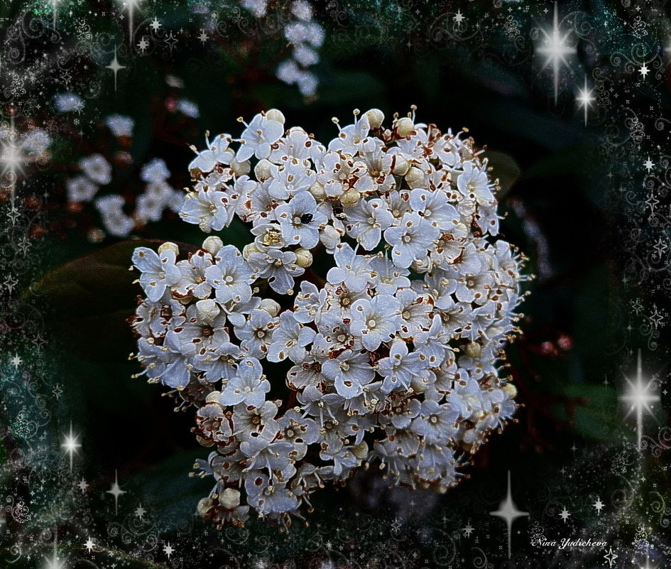 Весны цветение - Nina Yudicheva