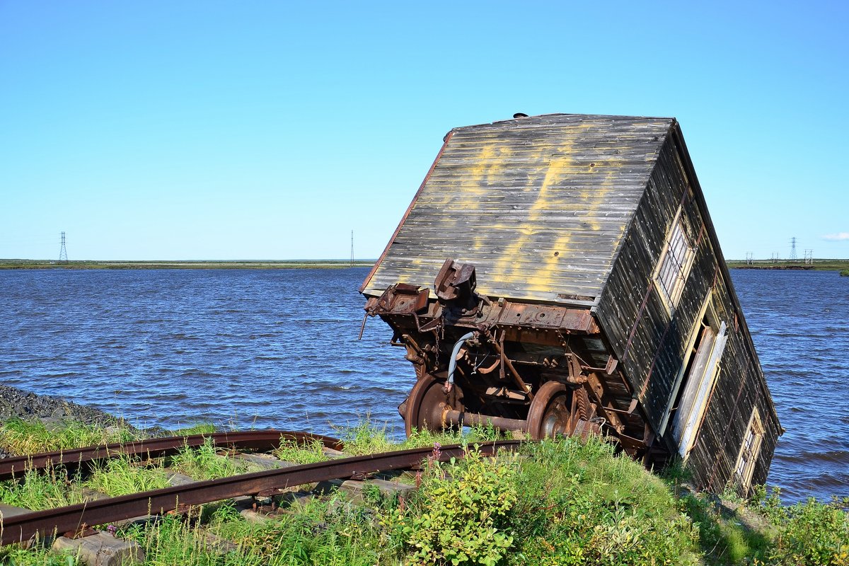 Водопой - Сергей Докукин