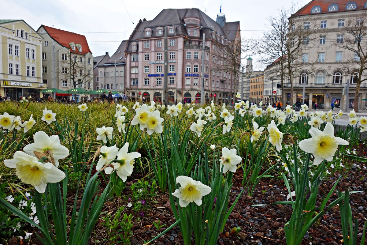Весенний Аугсбург-Весенний город пахнет счастьем... - Galina Dzubina