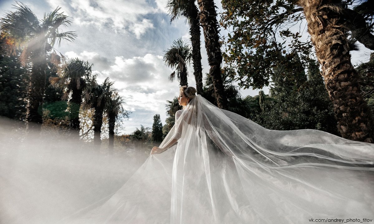 Wedding day - Андрей Титов