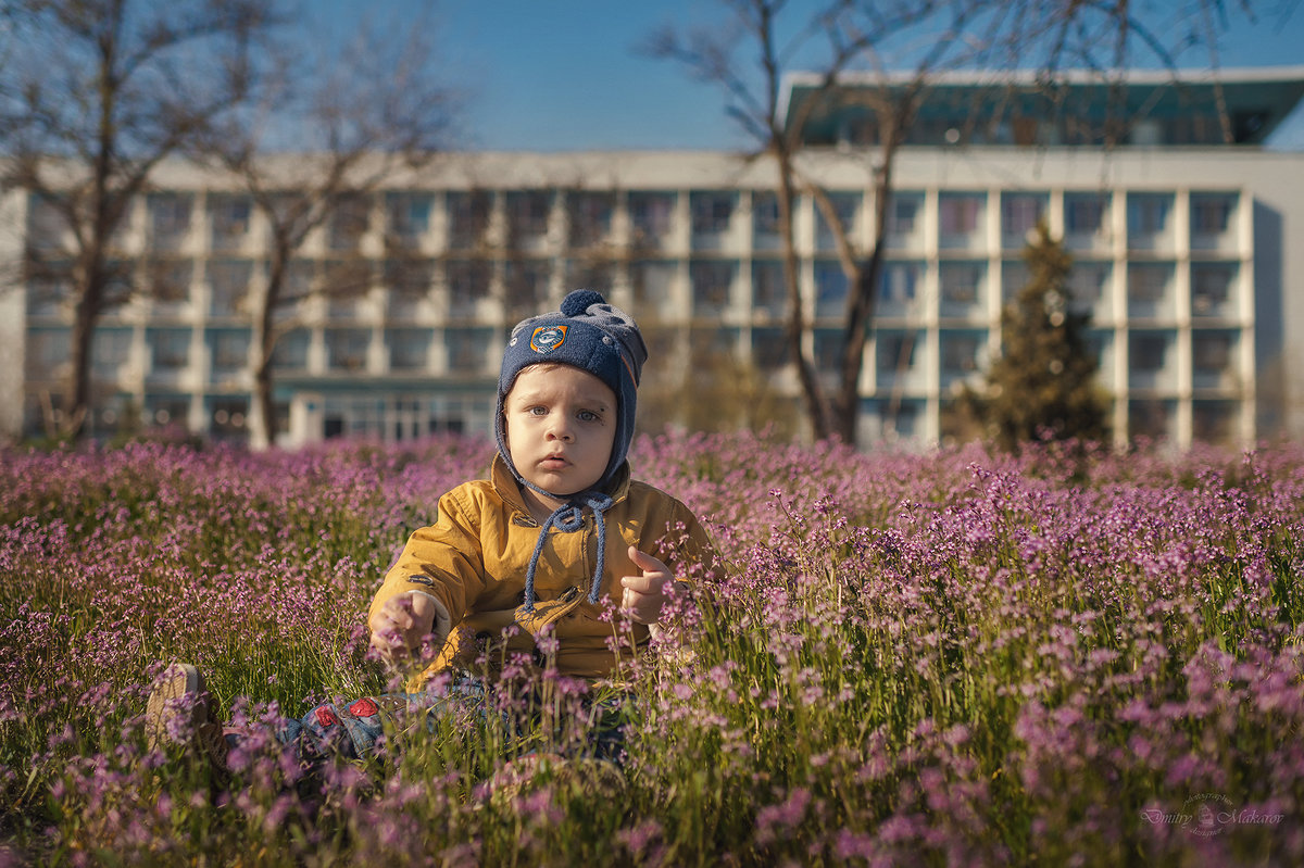 Весна......... - Дмитрий Макаров