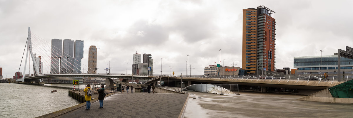 Панорама .Река Маас, Роттердам. Мост Эразма - Witalij Loewin
