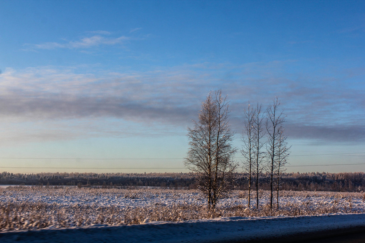 Зимняя дорога - Алёнка Шапран