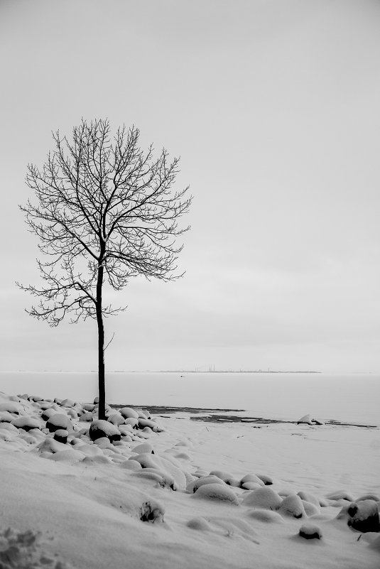 зима... тишь и одиночества - Светлана Салахетдинова