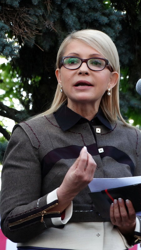 Пять минут из жизни Юлии Тимошенко Фото №3 - Владимир Бровко