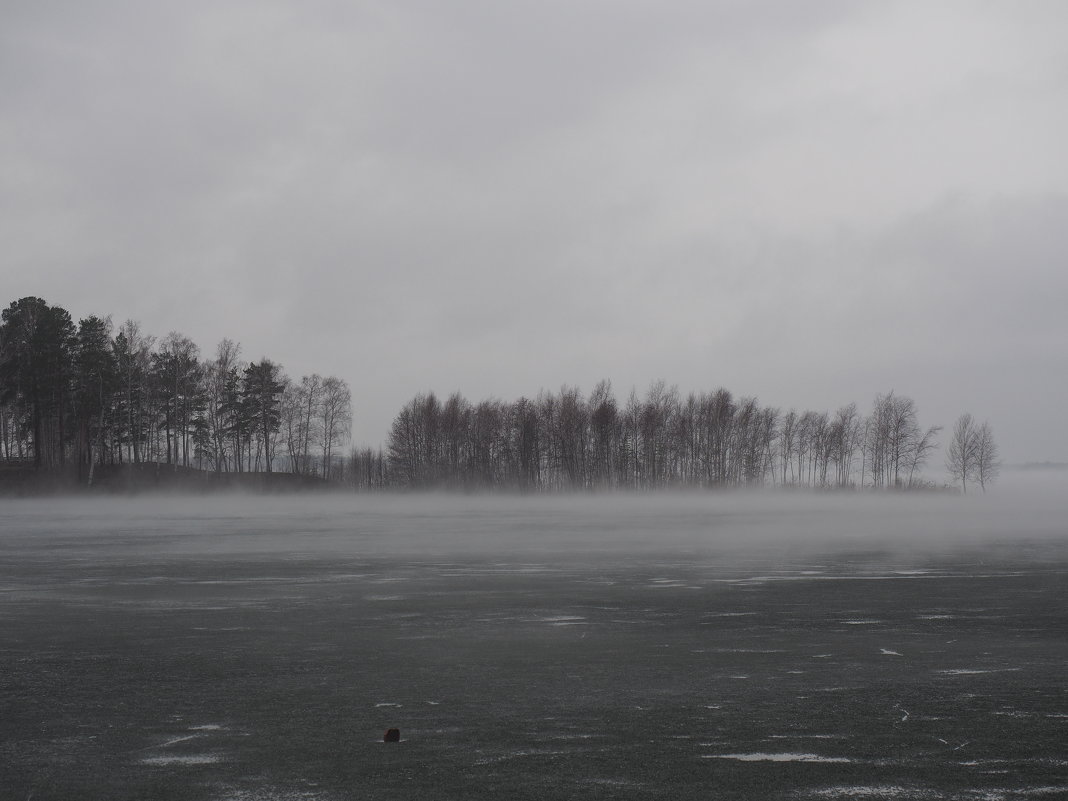 Ёжик в тумане - Сергей Адигамов