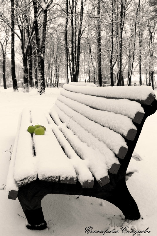 Яблоки на снегу.... - Екатерина Селедцова