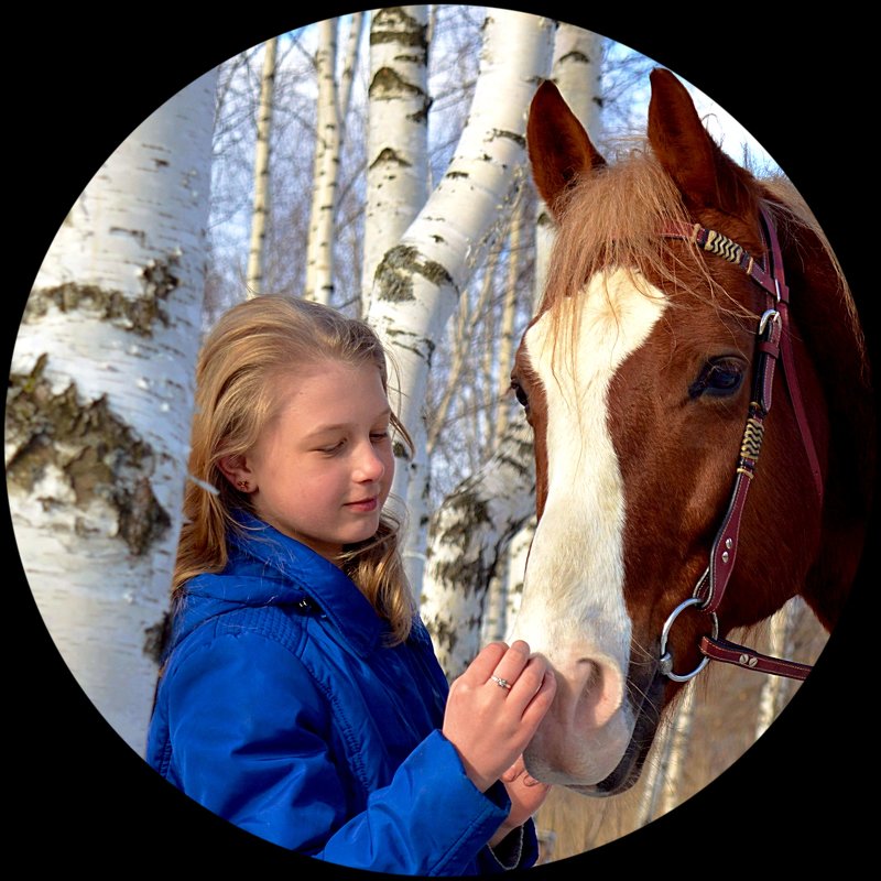 Девочка и конь - Ольга Сусанова