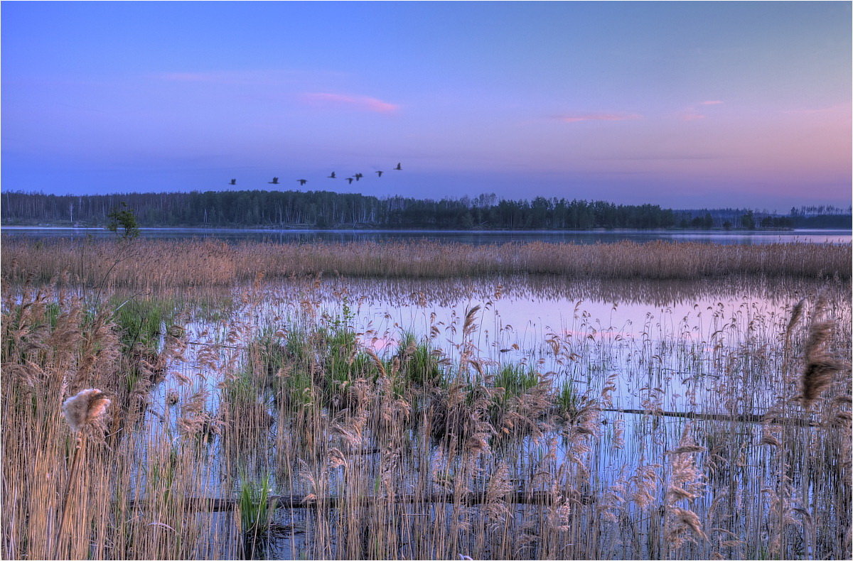 Весенний вечер на озере - Nikita Volkov