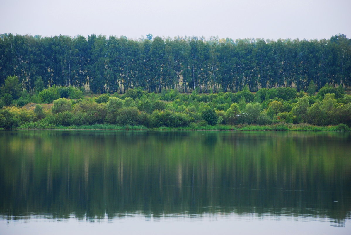 ... - Алексей Горбунов