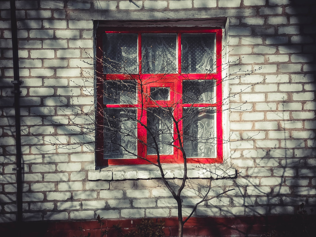 красное окно - Карина Чечель