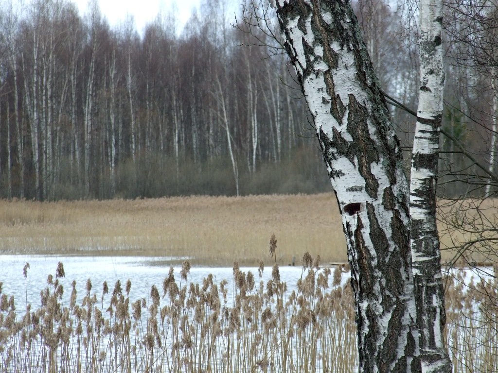 21/4 - Юрий Бондер