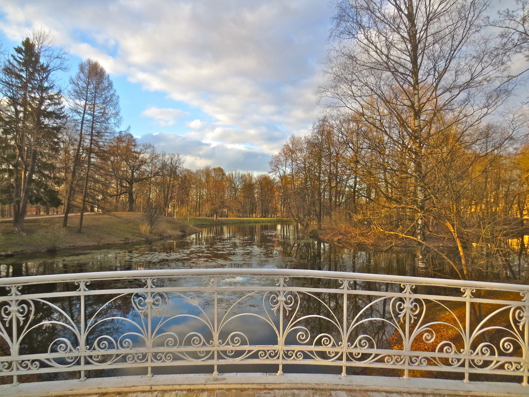 вид с мостика в парке - Елена 