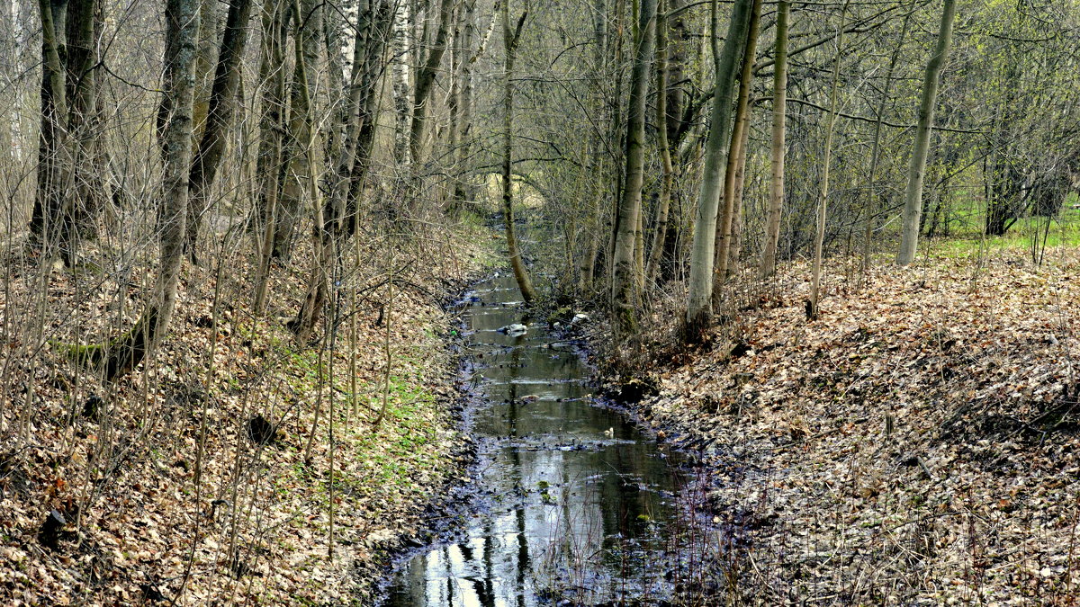 В парке - Сергей 