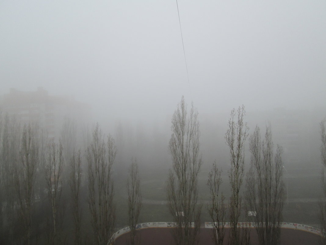 Апрельский туман - Самохвалова Зинаида 