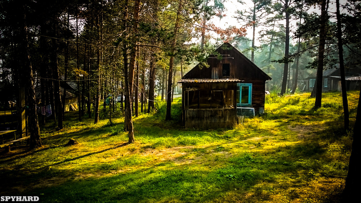 Сказочный лесной домик - Сергей Алексеев