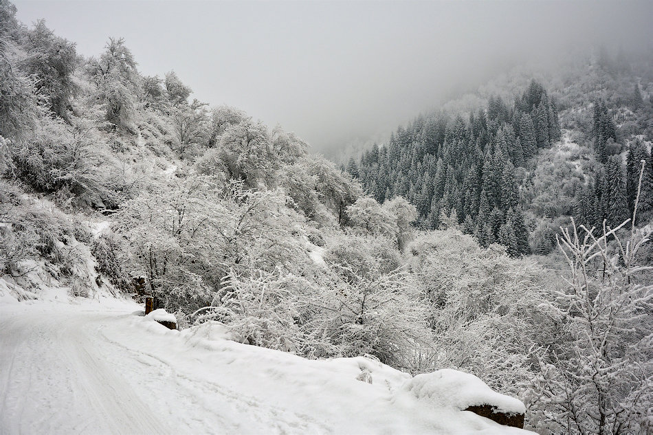 зима в горах - Горный турист Иван Иванов