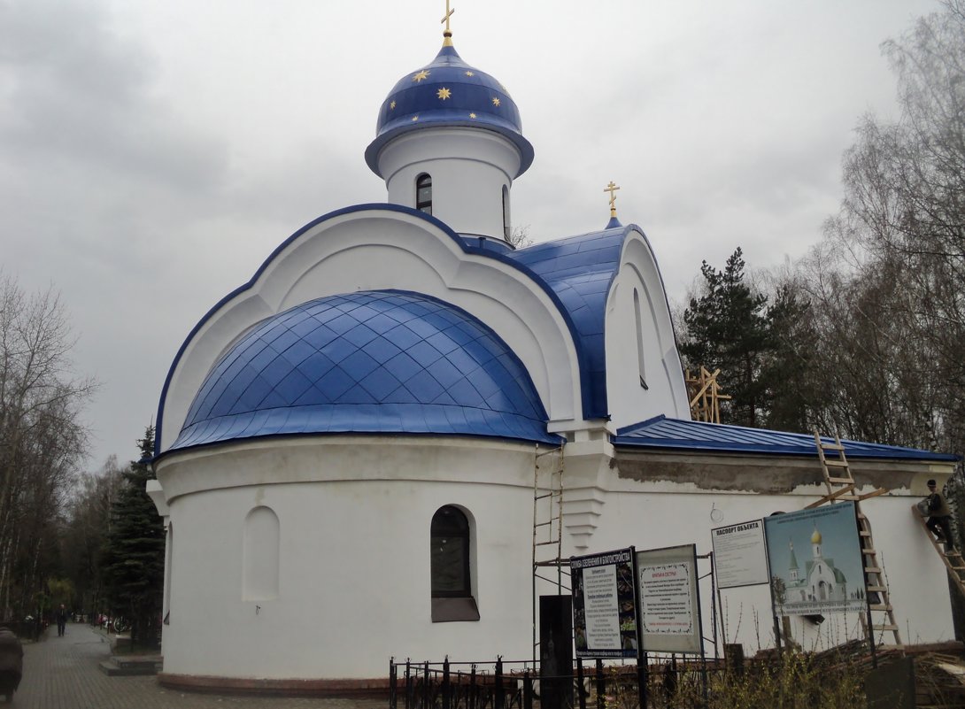 В Подмосковном городе Люберцы. - Ольга Кривых