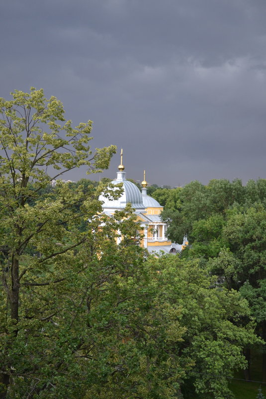 Перед грозой - Ольга 