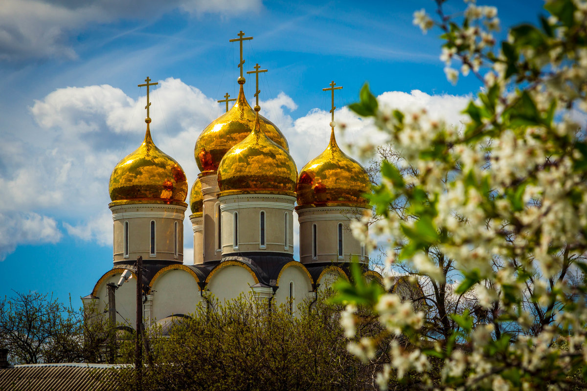 Русский Донбасс - Евгений 