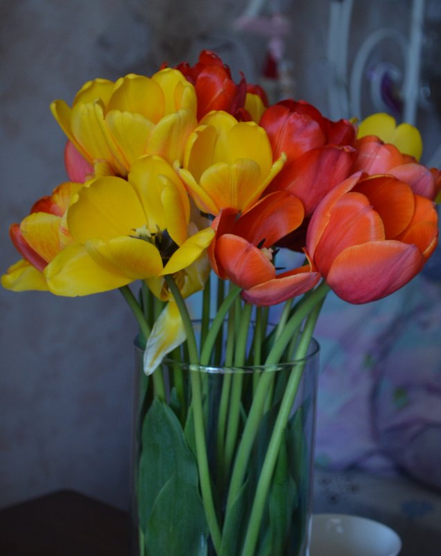 Тюльпаны - Людмила 