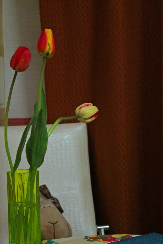 Тюльпаны - ольга 