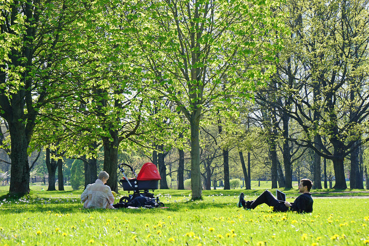 Молодая семья в парке в теплый майский день - Любовь Изоткина