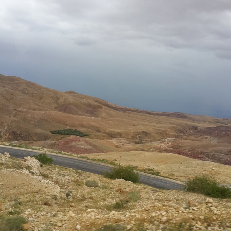 Дорога на Мертвое море - Ирина 