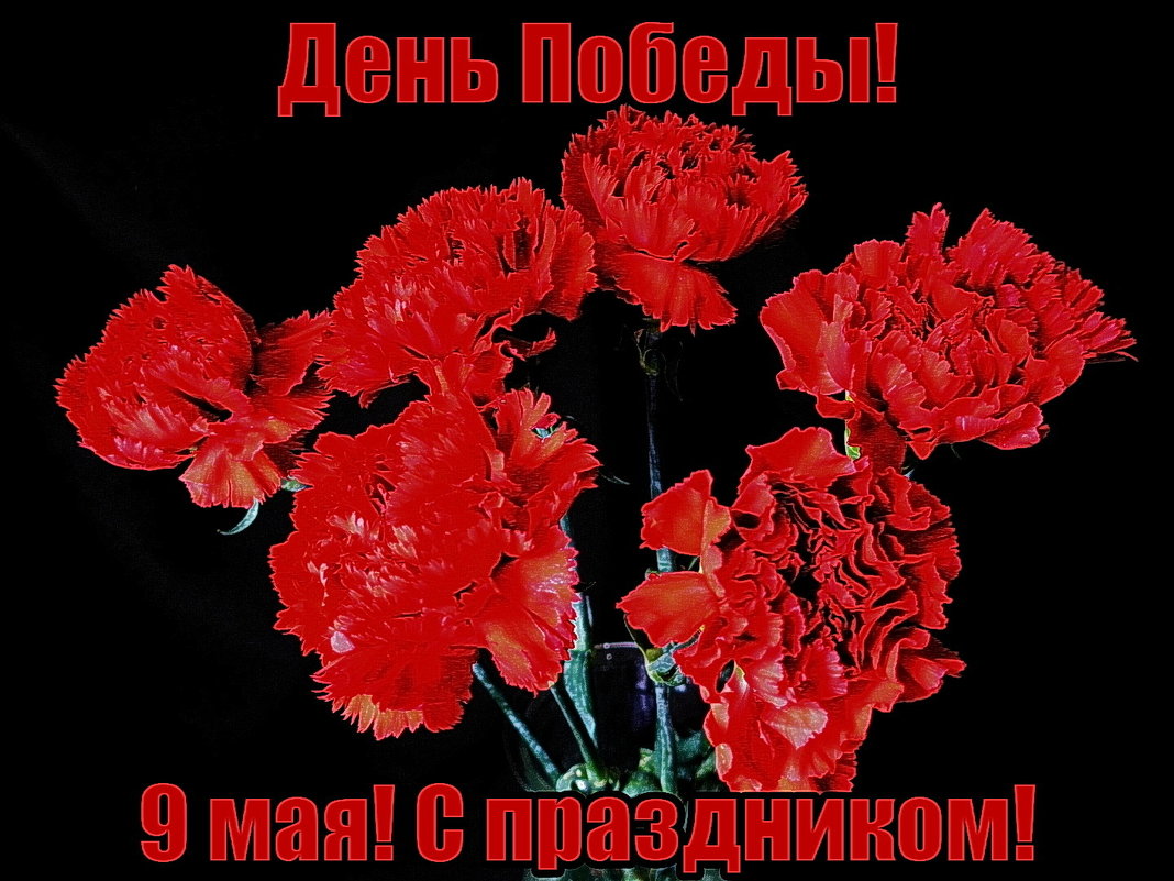С праздником Победы, дорогие друзья! Мира и благополучия! - Nina Yudicheva