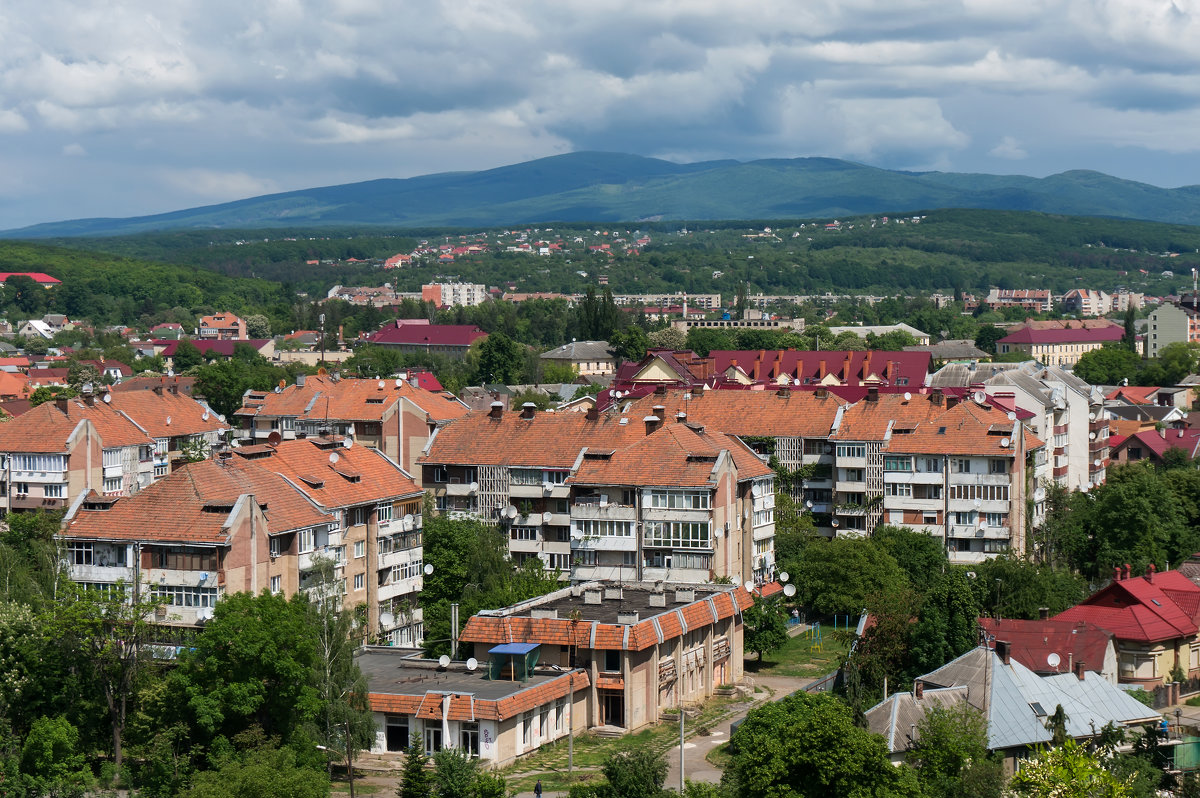 Ужгородский музей - Сергей Форос