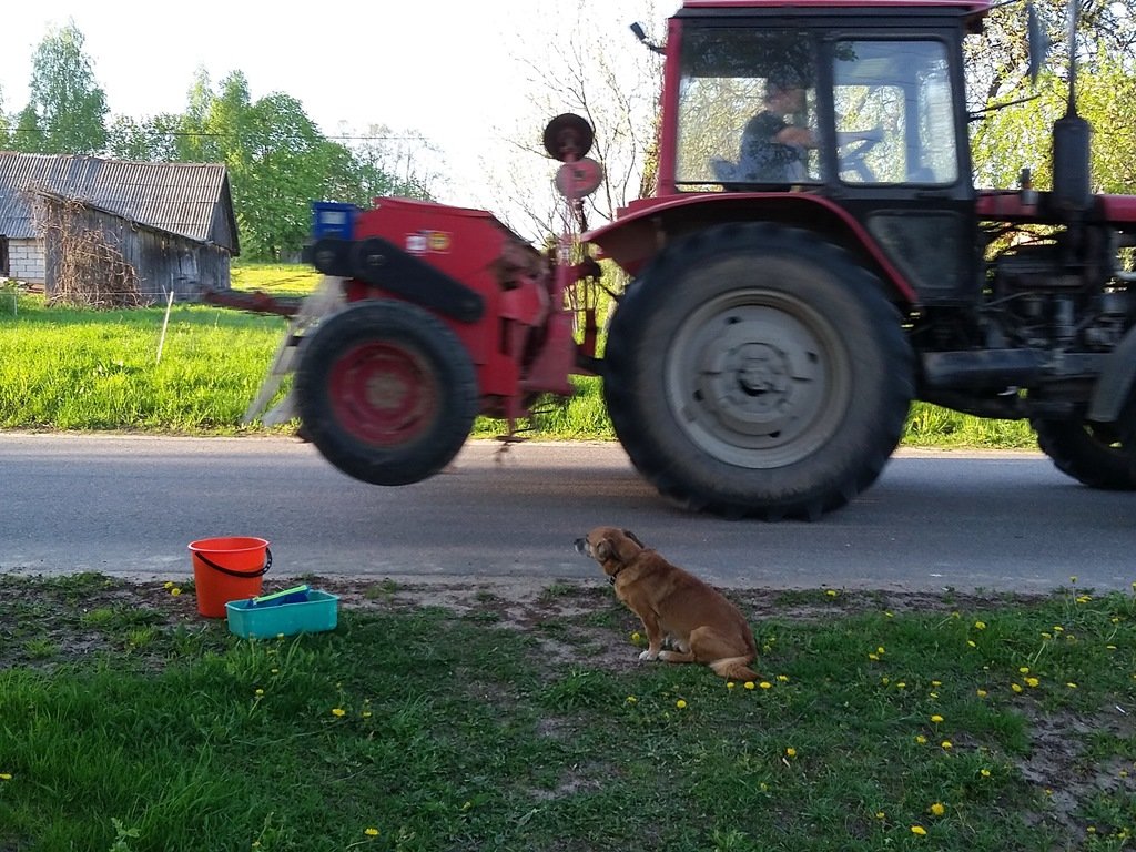 Рекс - Юрий Бондер