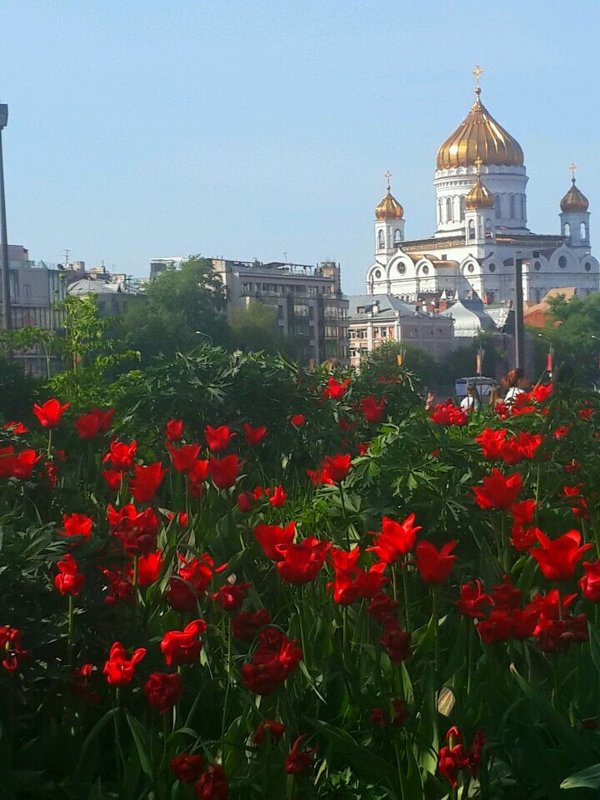 Москва  майская - Вера 