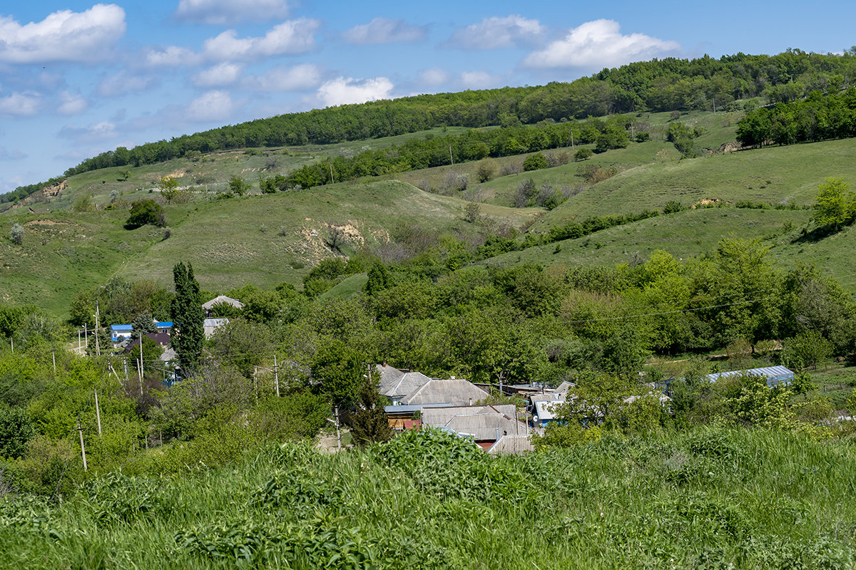 Окрестности моего города - Игорь Сикорский