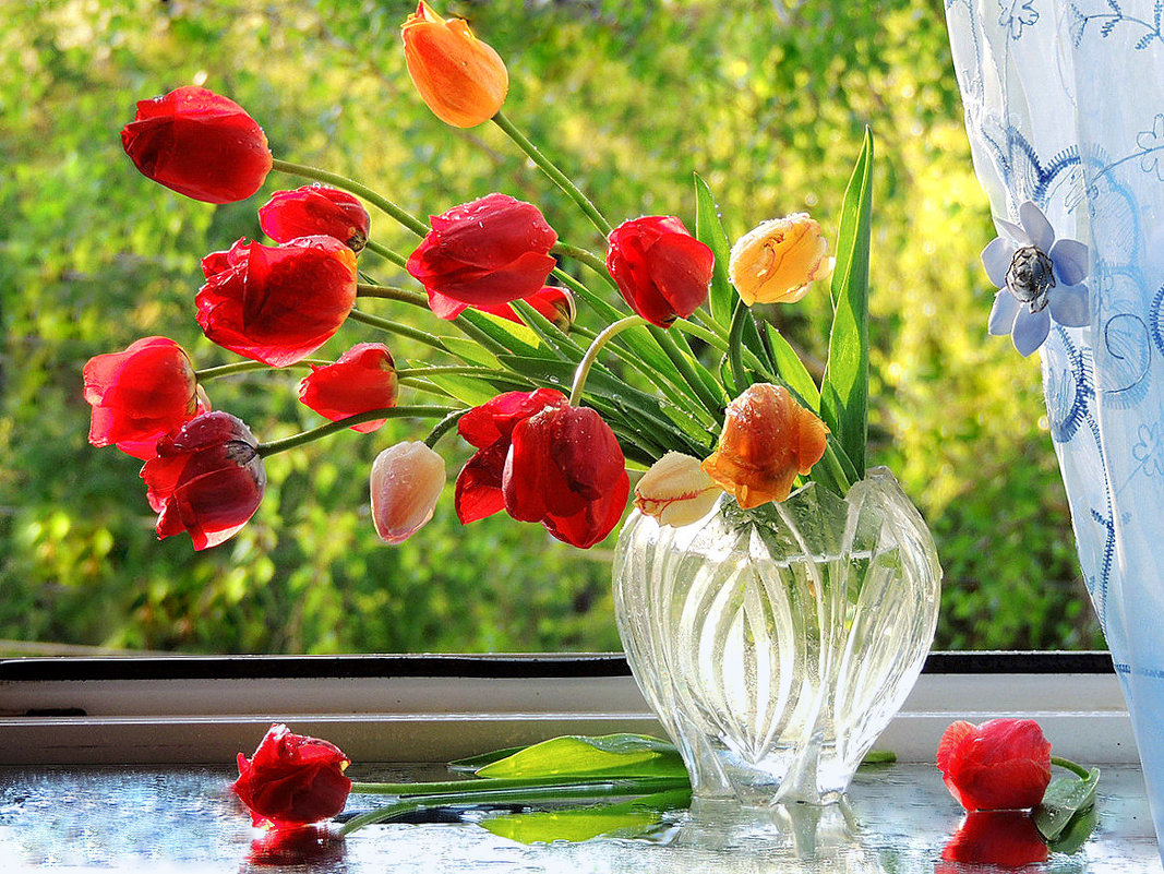 Утро с тюльпанами - Павлова Татьяна Павлова