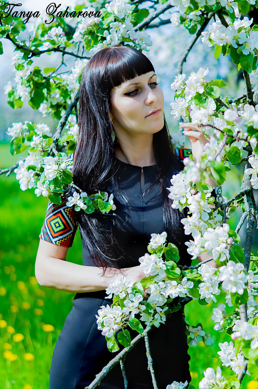 цветущий сад - Татьяна Захарова