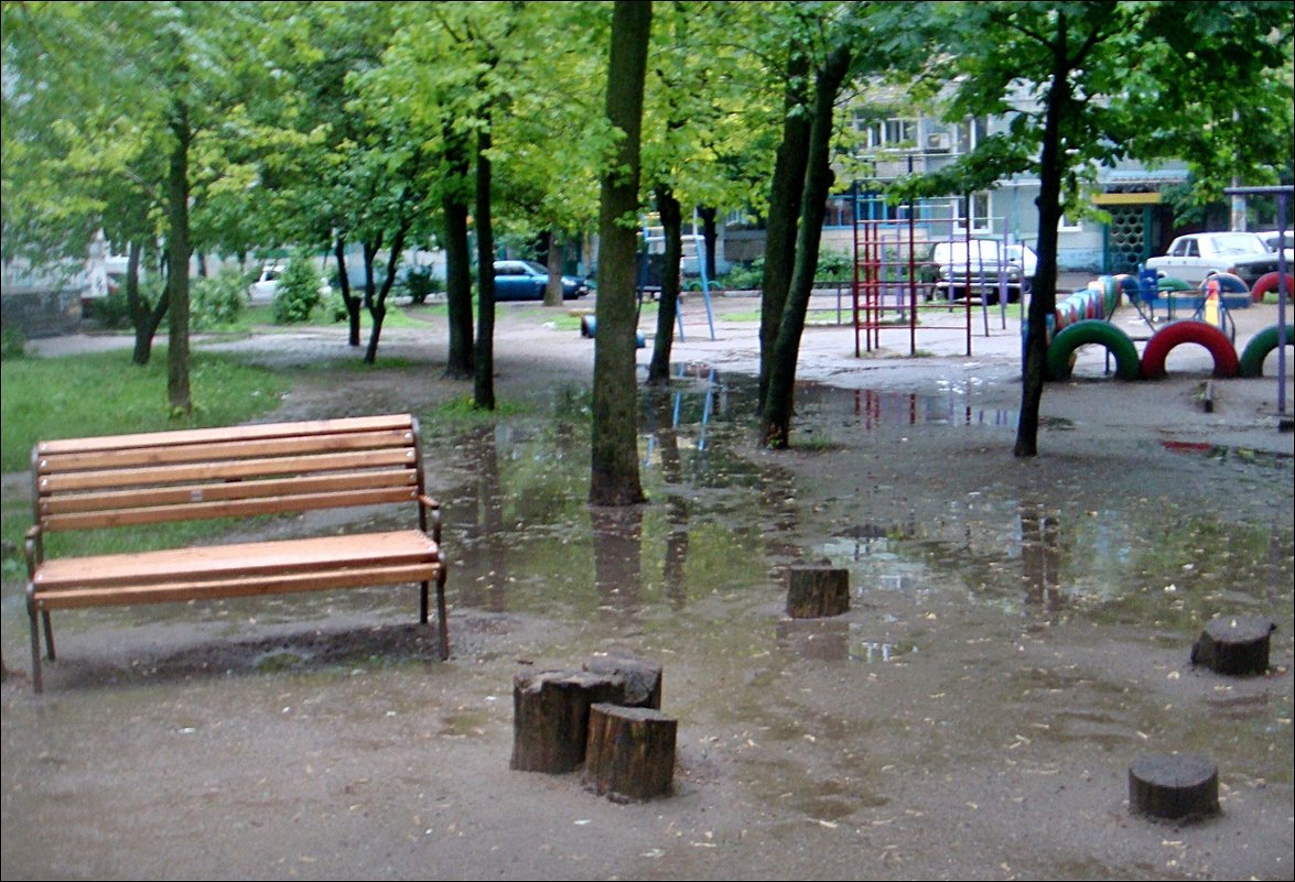 Мокрые пенёчки - Нина Корешкова