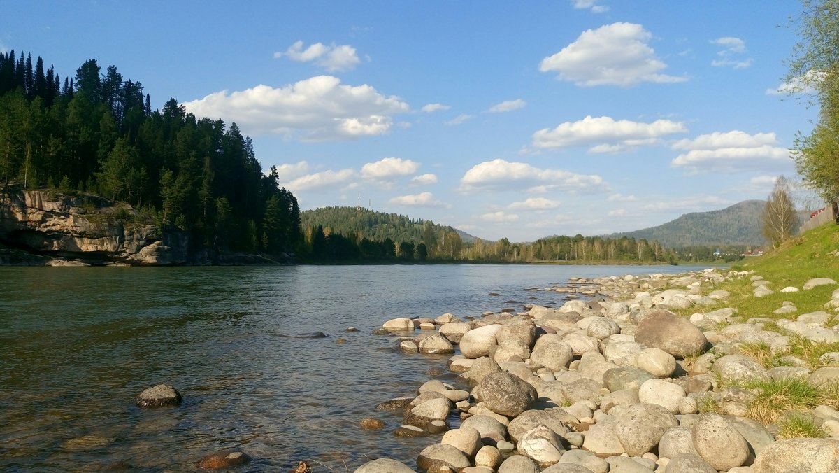 Берег реки Бия, Республика Алтай - Елена Бушуева